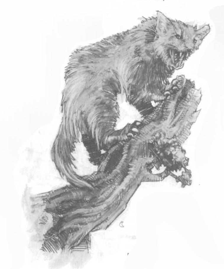 Grizlion «Bearcat» by Unknown