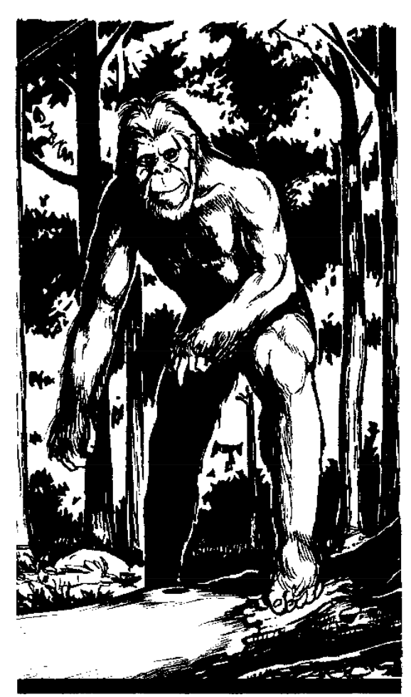 Squatches «Mountain Men»