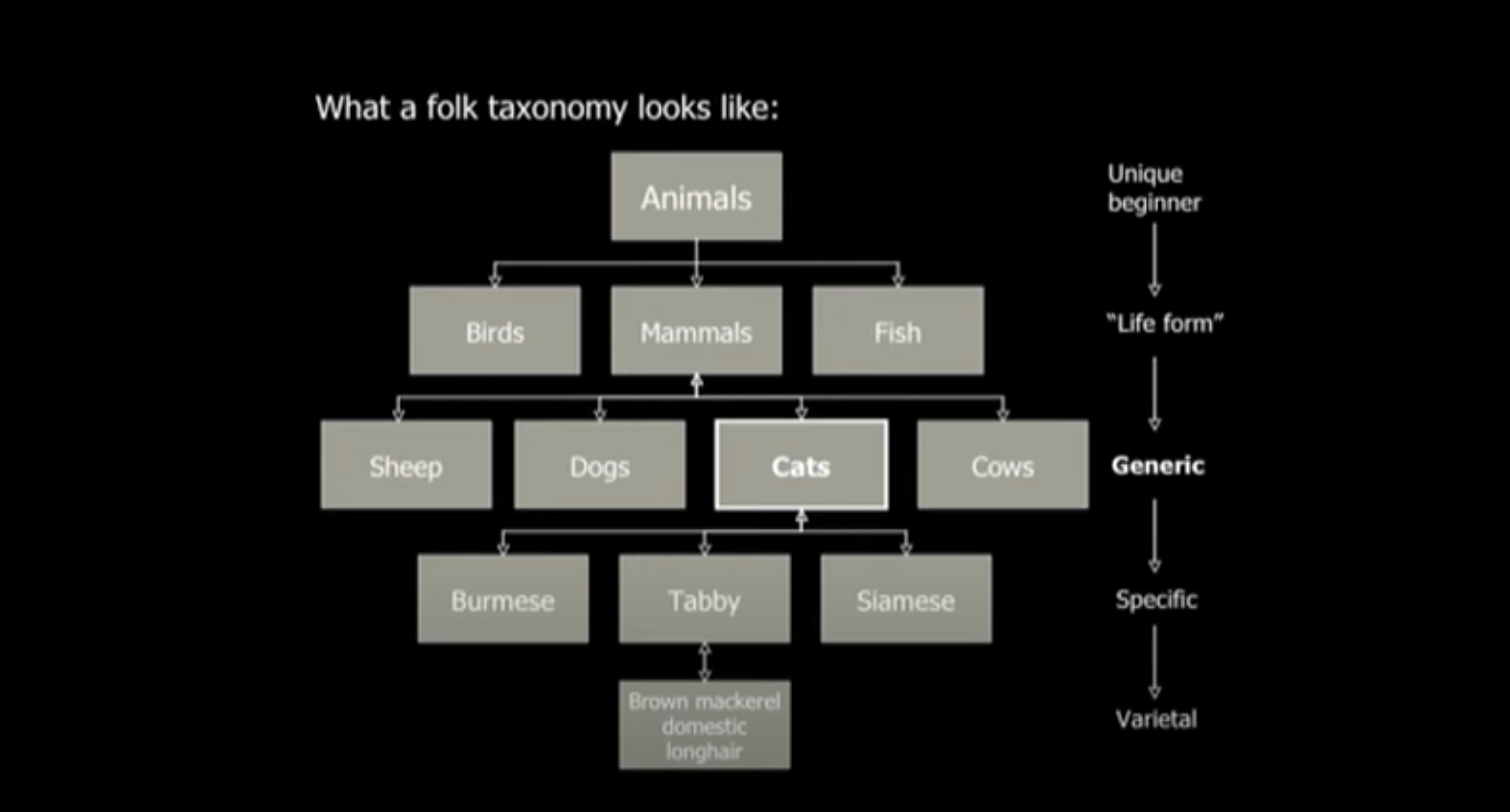 A folk Taxonomy showing the hierarchy of animals, mammals, cats, and Tabby. by Alex Wright