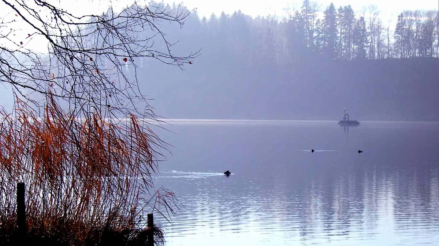 An image of Türlersee-Lake taken by someone from shore. by Leandros at German Wikipedia